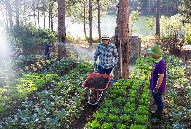Ông Nguyễn Lâm Viên, Tổng Giám đốc Công ty Cổ phần Vinamit (áo kẻ) xuống vườn cùng kỹ thuật viên trong khu vực sản xuất nông nghiệp hữu cơ. Ảnh: Vinamit.