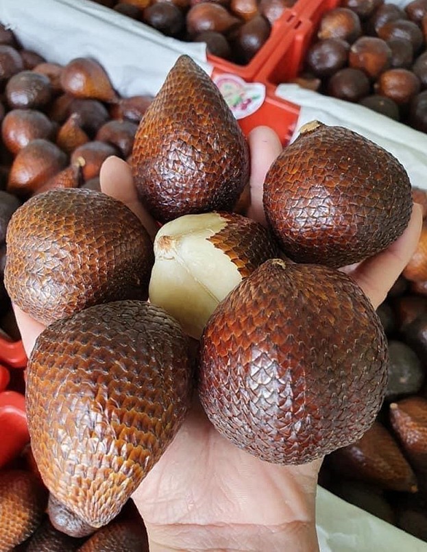 Nhiều người có thể chưa biết đến loại trái salak. 