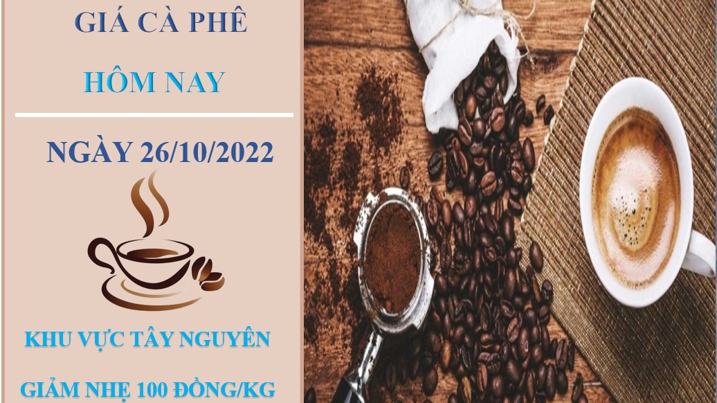 Giá cà phê hôm nay 26/10/2022: Tiếp tục giảm nhẹ toàn thị trường