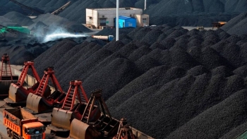 Nhập khẩu than đá giảm lượng, tăng kim ngạch