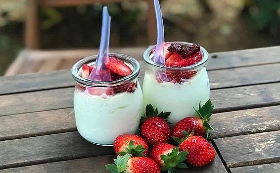 Sữa bò non, sữa chua Mộc Châu