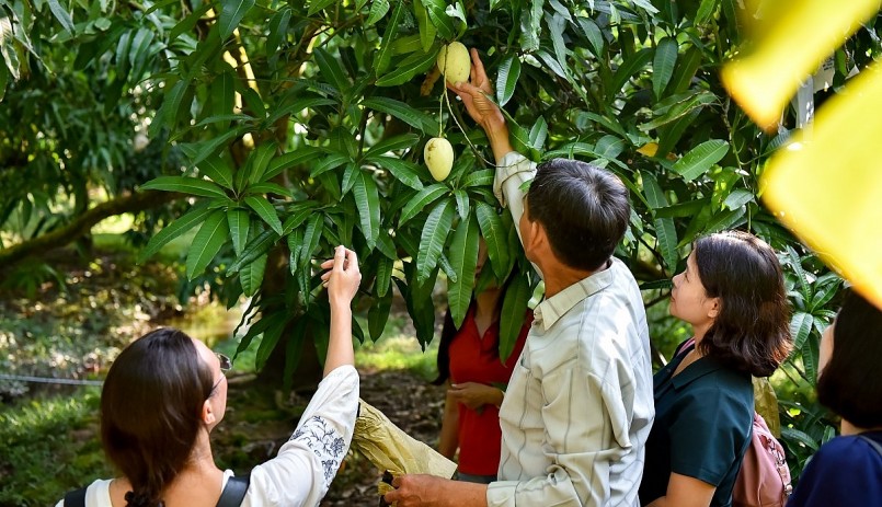 Đồng Tháp đang đẩy mạnh phát triển du lịch nông nghiệp, sinh thái. Đồng Tháp đang đẩy mạnh phát triển du lịch nông nghiệp, sinh thái.