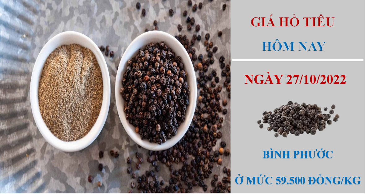 Giá hồ tiêu hôm nay 27/10/2022: Chững lại toàn thị trường Giá hồ tiêu hôm nay 27/10/2022: Chững lại toàn thị trường