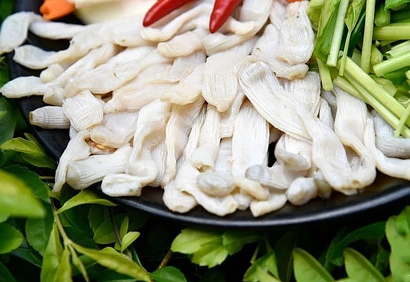 Sá sùng là một trong những loại hải sản vô cùng quý hiếm hiện nay. 