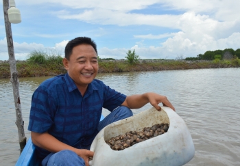 Lão nông nuôi sò huyết, chỉ ăn tảo và bùn đất, kiếm 2 tỷ một năm