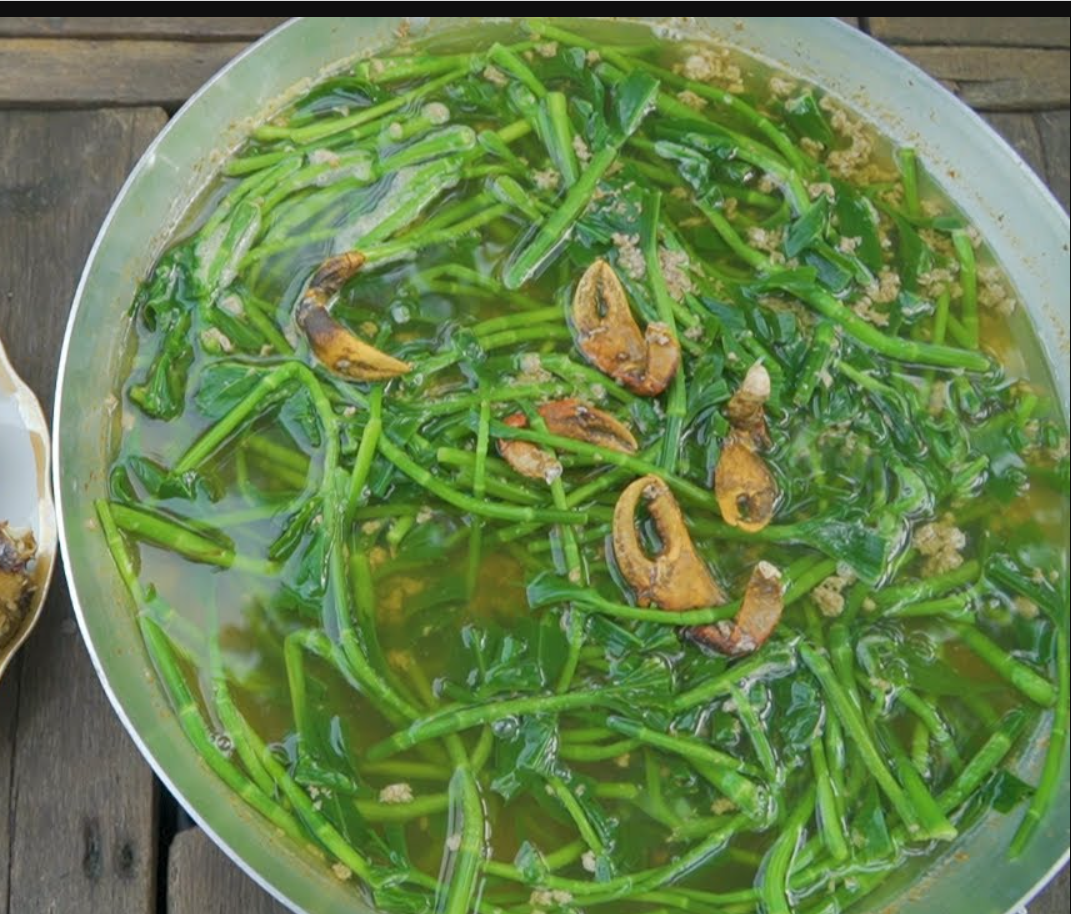 Ai bảo chỉ cho lợn ăn, loại rau này giờ là đặc sản vừa ngon vừa là dược liệu tốt cho sức khỏe