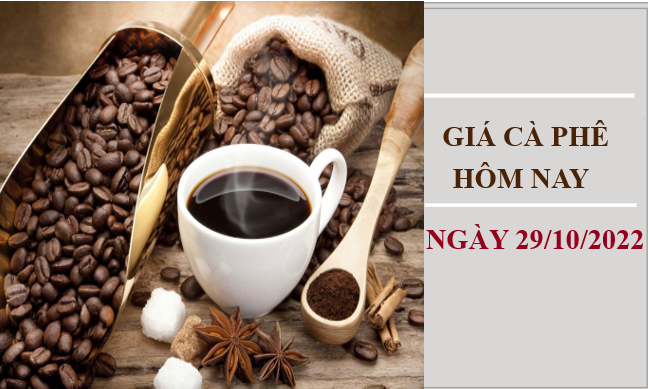 Giá cà phê hôm nay 29/10/2022: Tiếp tục giảm khoảng 600 đồng/kg