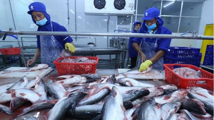 Xuất khẩu cá tra “ngấm đòn” lạm phát