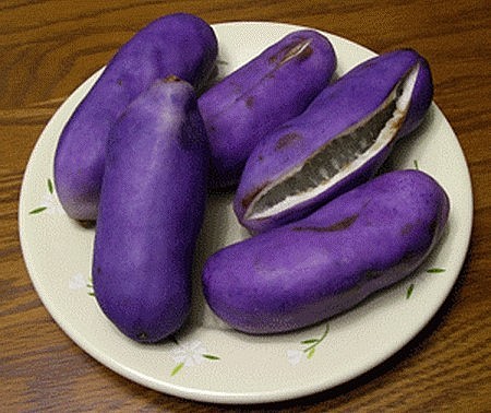 Nho tím Nhật Bản có giá lên tới 150-300 nghìn đồng/quả.