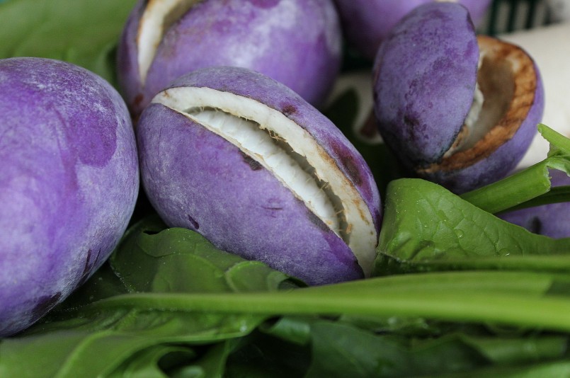 Nho tím Akebi còn có tên là nho chocolate Nhật Bản.