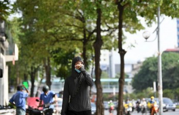 Di dời hoa sữa trên đường Nguyễn Chí Thanh, cây xanh đâu có lỗi