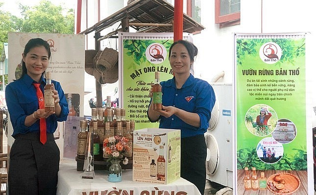 Cử nhân trường báo bị gắn mác “hâm”, bỏ phố về rừng lập nghiệp, giờ thu tiền tỷ mỗi năm