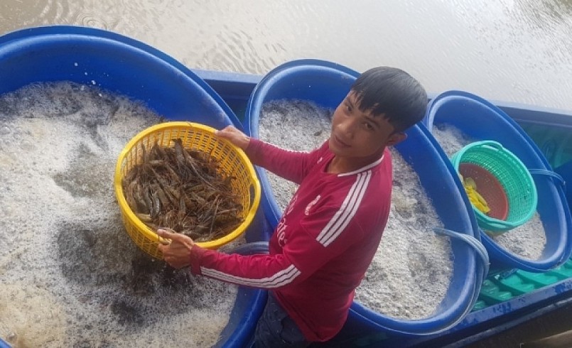 Người dân đa dạng mô hình sản xuất nông nghiệp cho thu nhập cao.