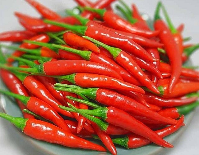 Ớt là một loại rau gia vị giúp tăng mùi vị món ăn hoặc đơn giản là do sở thích cá nhân. 