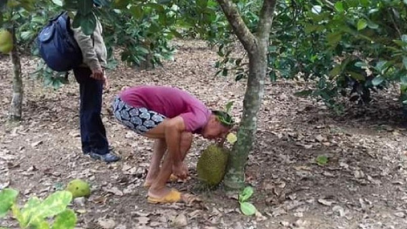 Nghề lạ ở Việt Nam, chỉ cần ngửi cũng kiếm vài triệu mỗi ngày