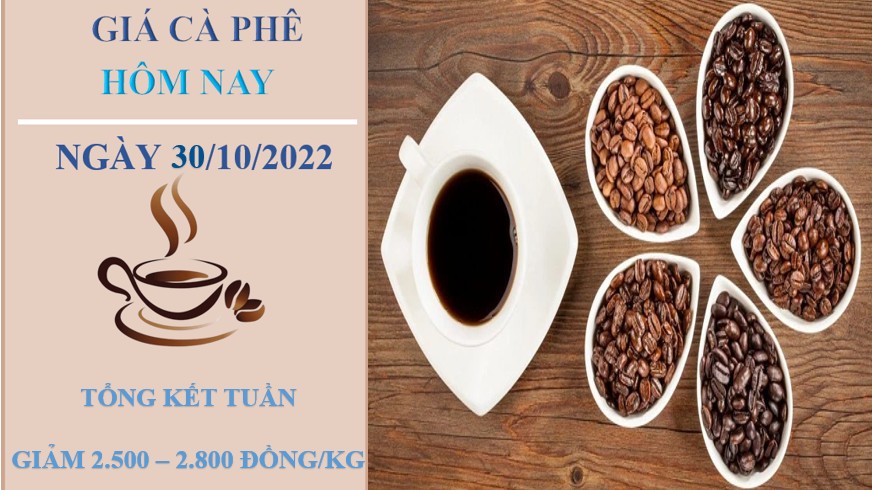 Giá cà phê hôm nay 28/10/2022: Dần lùi về mốc 40.000 đồng/kg