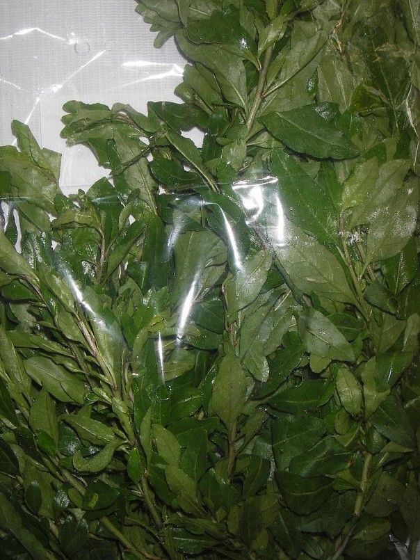 Trên chợ mạng, cũng có vài địa chỉ bán rau củ khởi với giá 70.000 đồng/kg Trên chợ mạng, cũng có vài địa chỉ bán rau củ khởi với giá 70.000 đồng/kg