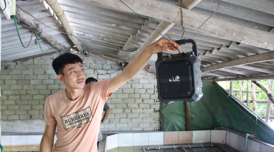 Thu trăm triệu mỗi năm nhờ nuôi lươn không bùn