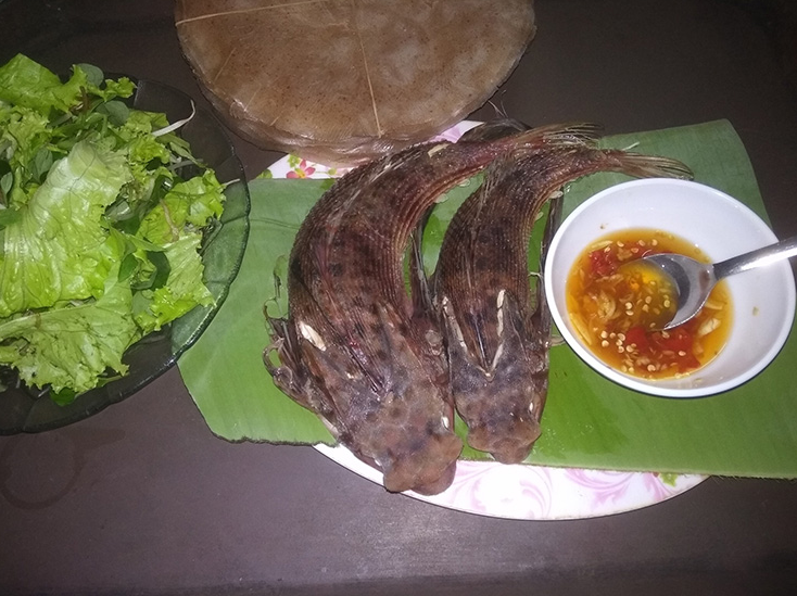 Loài cá từng bị chê, không mấy người ăn trở thành đặc sản có giá 300.000/kg