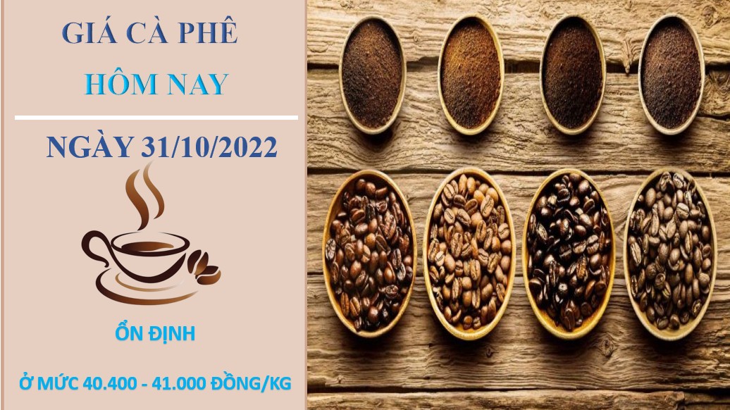 Giá cà phê hôm nay 31/10/2022: Không có thay đổi mới