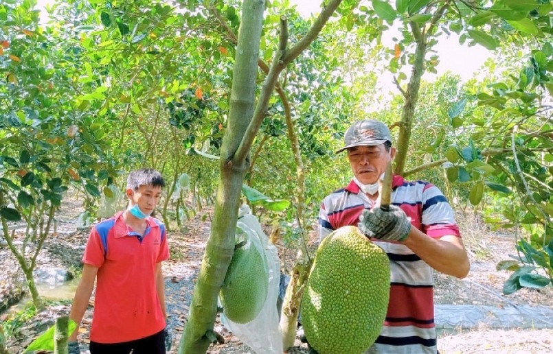 Australia là thị trường xuất khẩu tiềm năng của các mặt hàng nông sản Việt Nam. 