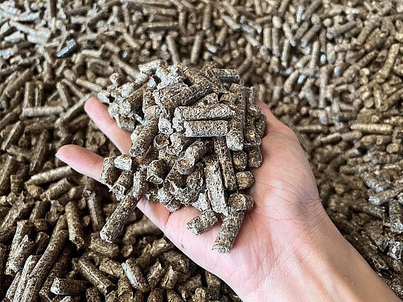 Các nhà máy sản xuất viên nén gỗ đang thiếu nguyên liệu