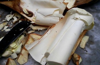 Nếu biết khai thác thứ bỏ đi này của cây dừa biến thành "mỏ vàng"