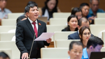 Cần tăng cường giám sát việc quản lý, sử dụng đất tại các nông, lâm trường