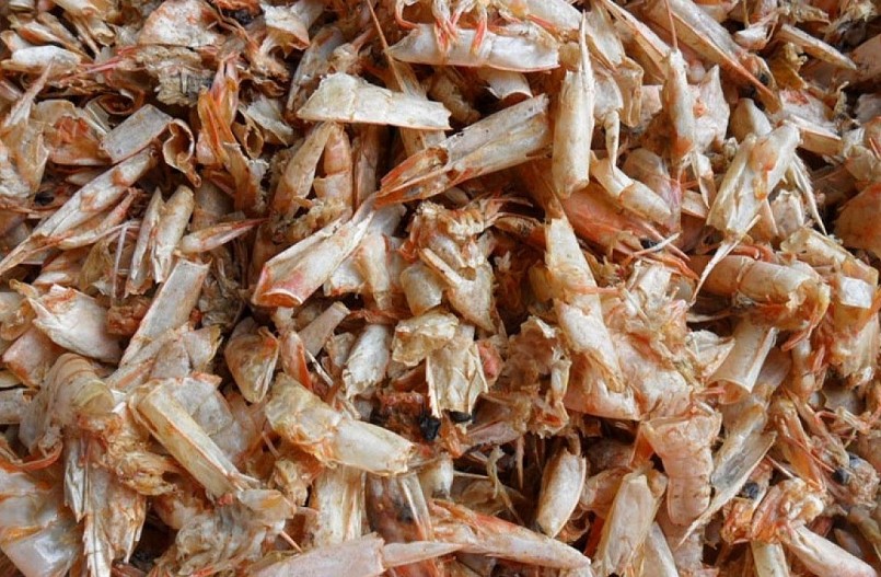 Ở các nhà máy chế biến thuỷ sản lớn, lượng đầu tôm, vỏ tôm thải ra rất nhiều. 