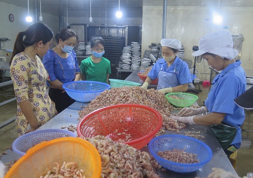 Hàng năm, ngành công nghiệp chế biến tôm thải ra lượng phụ phẩm rất lớn.