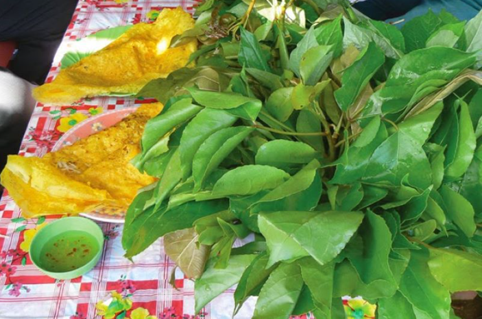 Loại cây lá rụng đầy không ai nhặt lại là đặc sản chỉ có ở miền Tây