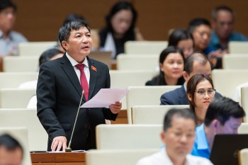 Cần tăng cường giám sát việc quản lý, sử dụng đất tại các nông, lâm trường