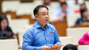 Thực hiện nghiêm pháp luật đất đai trong việc bảo đảm đất lúa