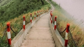 Bình Liêu (Quảng Ninh): "Thiên đường cỏ lau" thu hút du khách tới check in