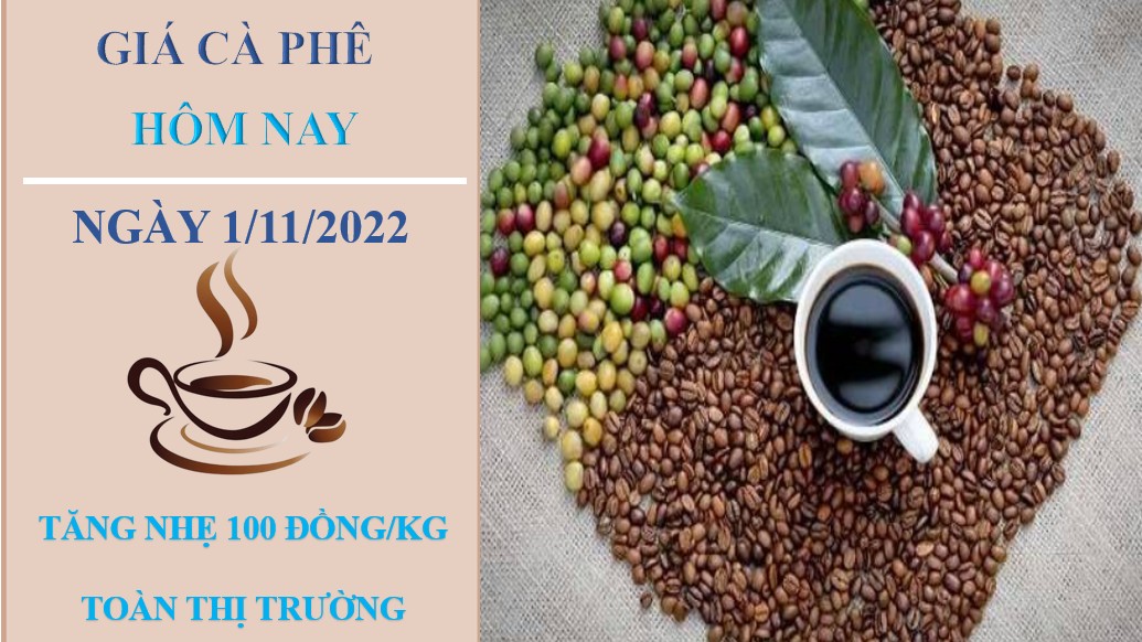 Giá cà phê hôm nay 1/11/2022: Đảo chiều tăng nhẹ