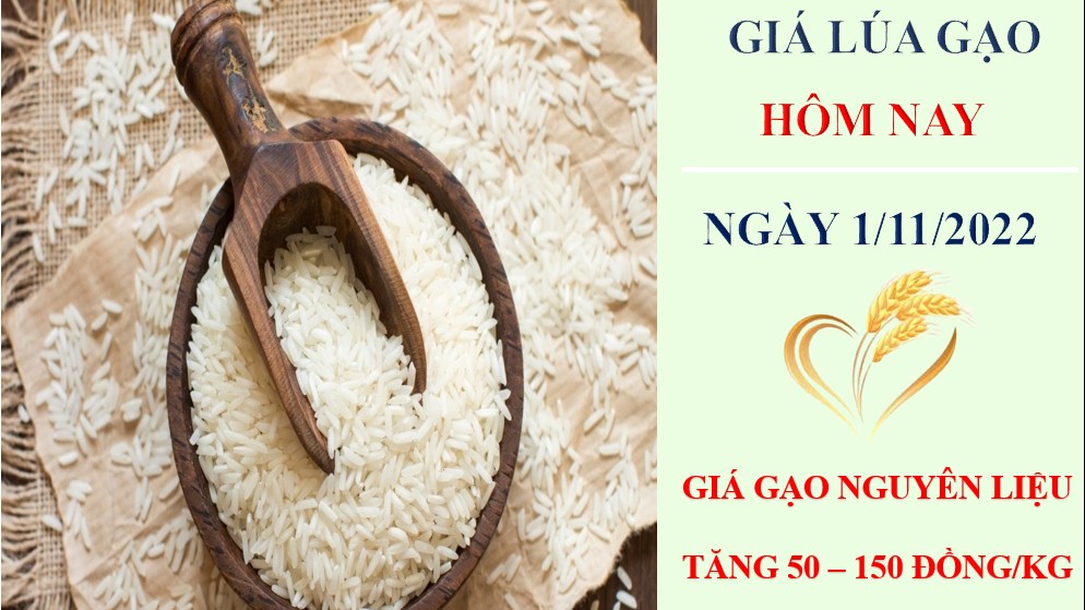 Giá lúa gạo hôm nay 1/11/2022: Giá gạo tăng 150 đồng/kg