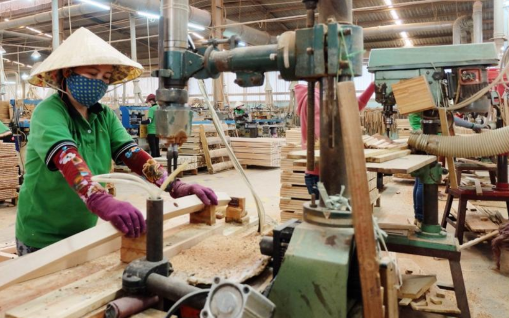  thị trường xuất khẩu sụt giảm, các đơn hàng từ doanh nghiệp lớn ngành gỗ trong nước đã giảm ở mức 30 - 50% so với cùng kỳ năm ngoái