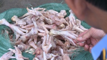 Hà Nội: Ngăn chặn kịp thời trên 03 tấn chân gà bẩn