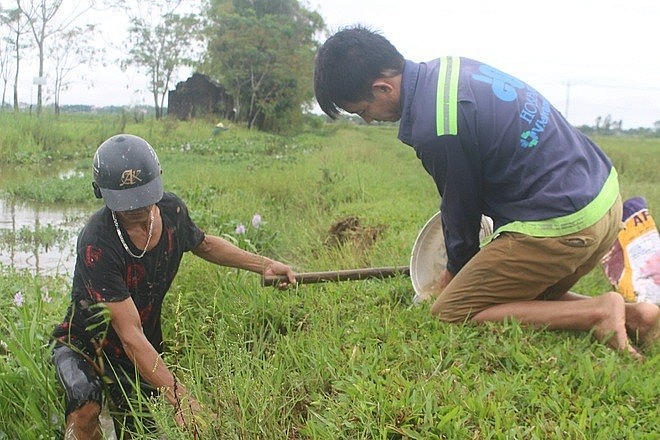 Nghề săn chuột đã có từ lâu đời ở huyện lúa Yên Thành, Nghệ An