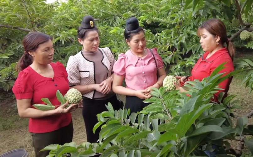 Mô hình kinh tế của gia đình chị Đỗ Thị Hoa là nơi thường xuyên được các hội viên phụ nữ đến tham quan, học hỏi kinh nghiệm Mô hình kinh tế của gia đình chị Đỗ Thị Hoa là nơi thường xuyên được các hội viên phụ nữ đến tham quan, học hỏi kinh nghiệm
