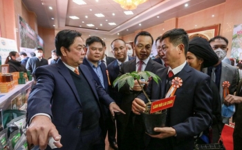 Sắp diễn ra Hội chợ sâm Lai Châu 2022