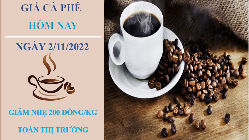 Giá cà phê hôm nay 2/11/2022: Quay đầu giảm nhẹ 200 đồng/kg