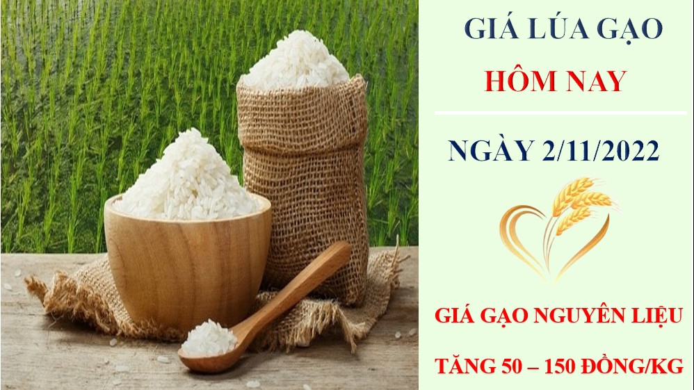 Giá lúa gạo hôm nay 2/11/2022: Giá gạo nguyên liệu tăng trở lại