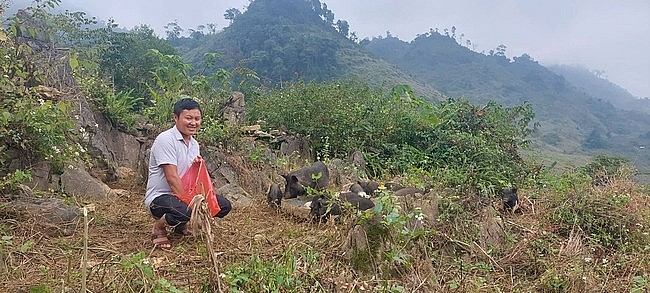 Anh Sùng A Việt ở bản Chà Đáy, xã Pà Cò đã mạnh dạn chuyển đổi cơ cấu cây trồng, vươn lên trở thành triệu phú trẻ.