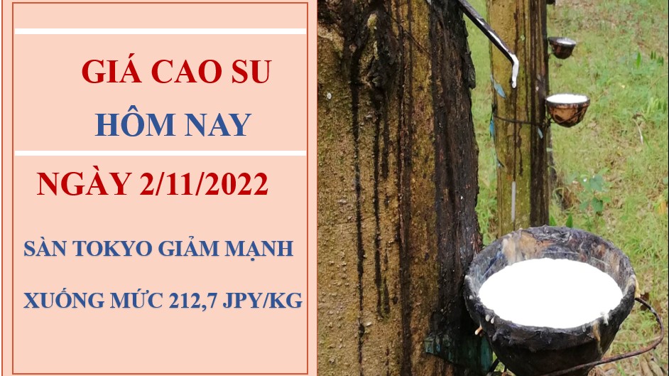 Giá cao su hôm nay 2/11/2022: Giảm mạnh tại Sàn Tokyo