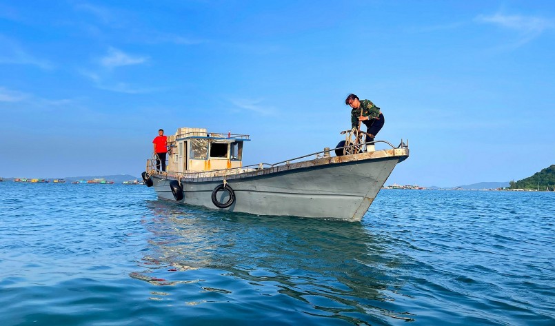 Mùa ấm no trên đảo Thanh Lân, bắt cá cơm mỗi ngày thu hơn 10 triệu đồng