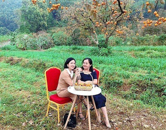 Du khách check-in tại vườn hồng cổ thủ Nam Anh, Nam Đàn (Nghệ An).