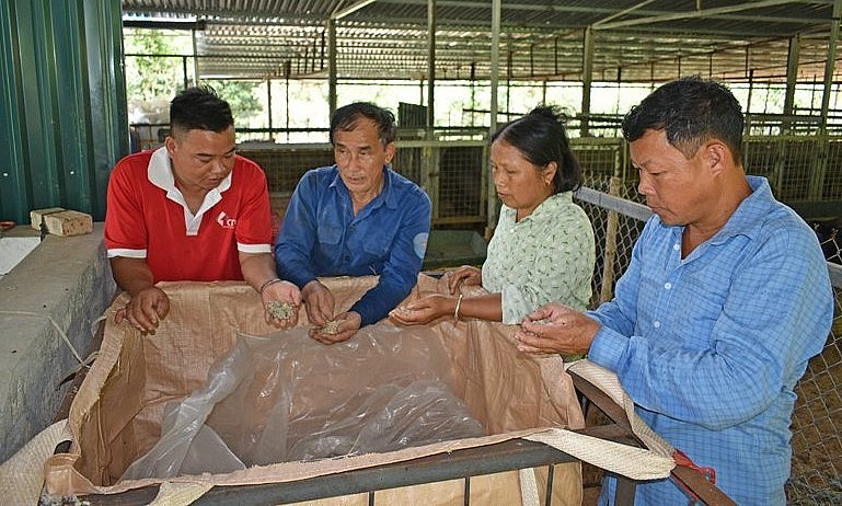  Một số hộ dân đến tham quan, học hỏi khu chế biến thức ăn của trang trại ông Cường.