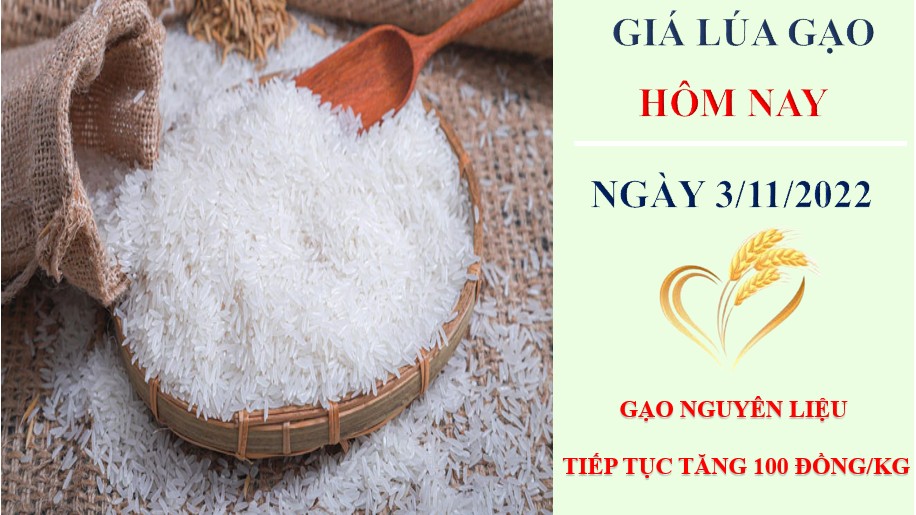 Giá lúa gạo hôm nay 3/11/2022: Giá gạo nguyên liệu tiếp tục tăng 100 đồng/kg