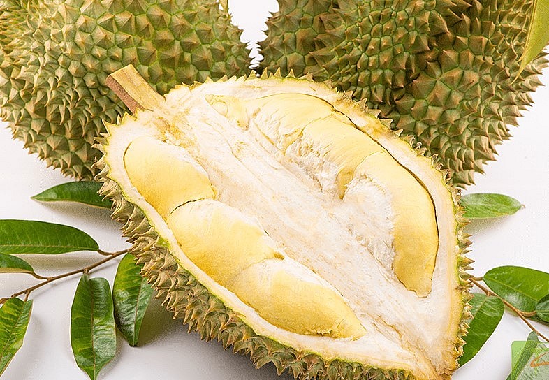 Sầu riêng Việt Nam đang tạo sức hút lớn tại Trung Quốc. 